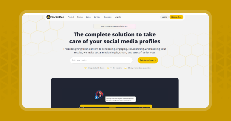 SocialBee